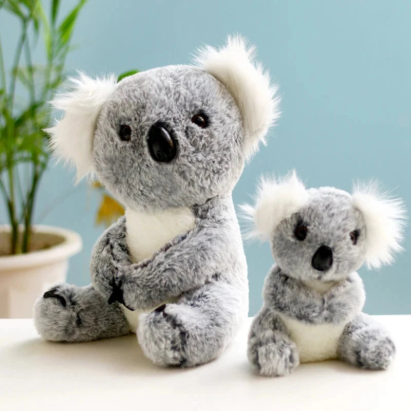 Koala Cuddle Bear (JS) working Baby Boujee 