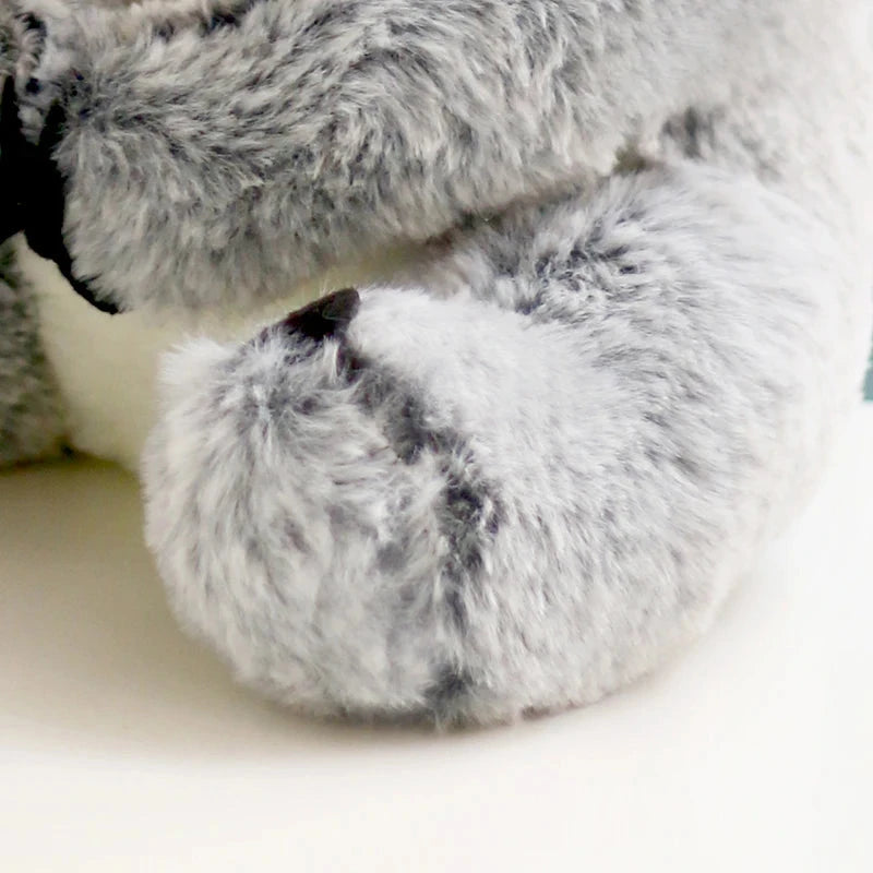 Koala Cuddle Bear (JS) working Baby Boujee 