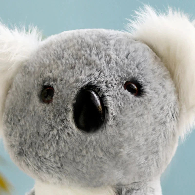 Koala Cuddle Bear (JS) working Baby Boujee 