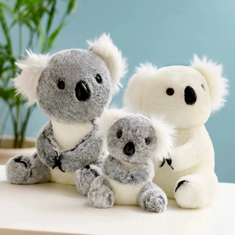 Koala Cuddle Bear (JS) working Baby Boujee 