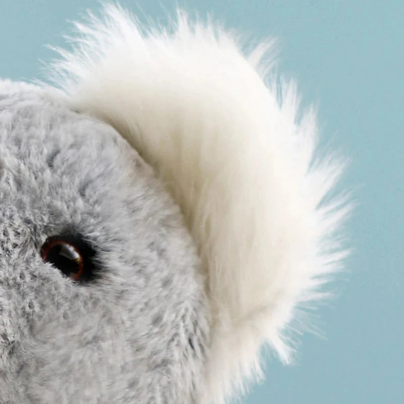 Koala Cuddle Bear (JS) working Baby Boujee 